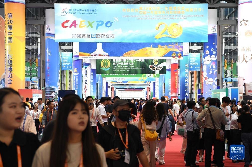 迷鹿棋牌品牌官网